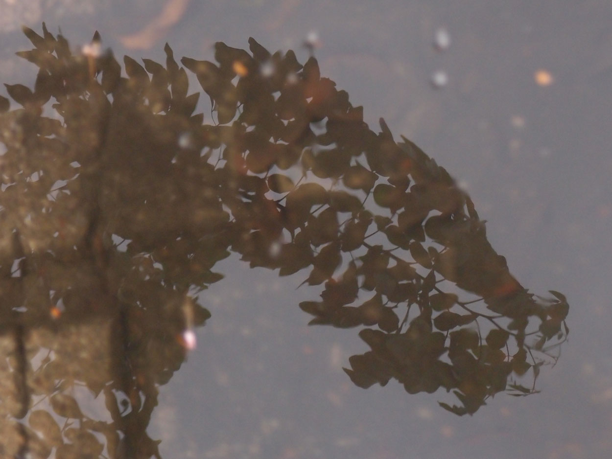 Willkommen Brasilien